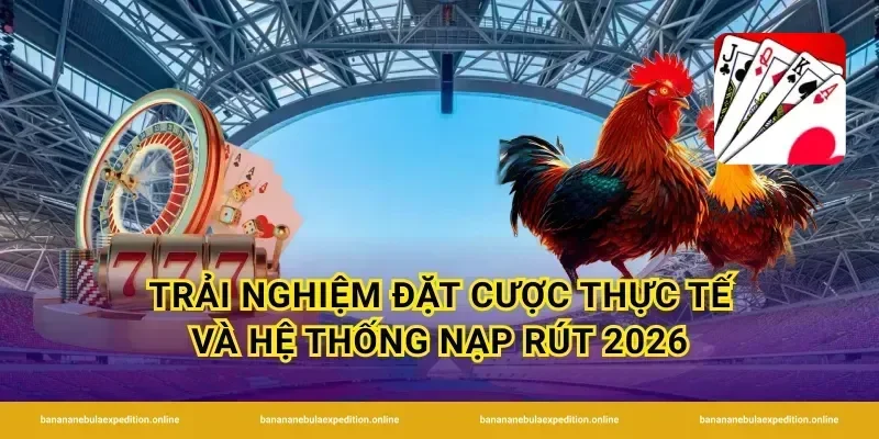 Trải nghiệm đặt cược thực tế và hệ thống nạp rút 2026