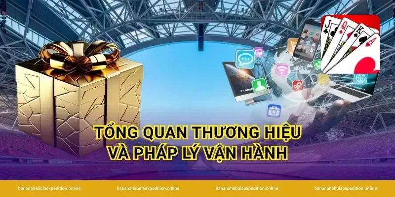 Tổng quan thương hiệu và pháp lý vận hành