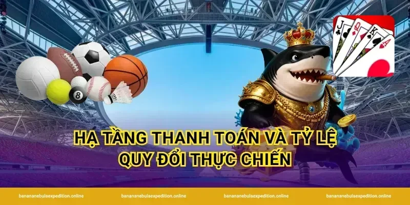 Hạ tầng thanh toán và tỷ lệ quy đổi thực chiến