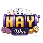 Haywin
